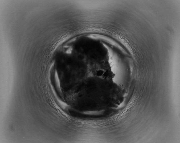 X0000115830625200911131128
