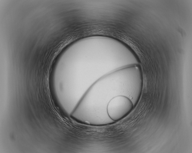 X0000115830626200911131128