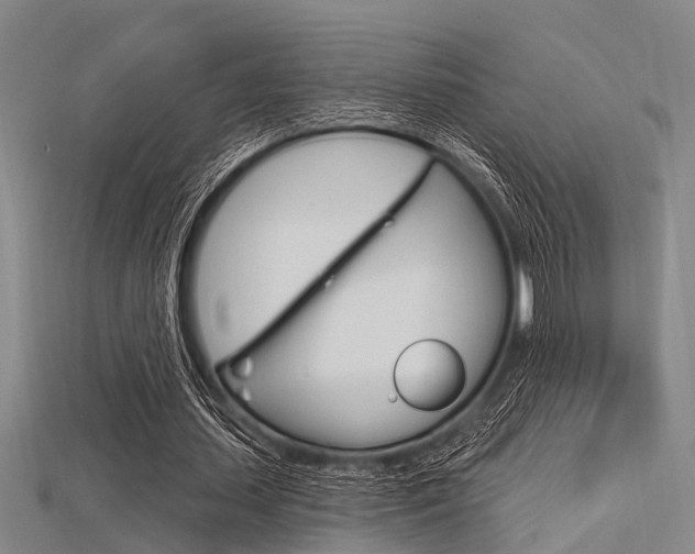 X0000115830627200911131128