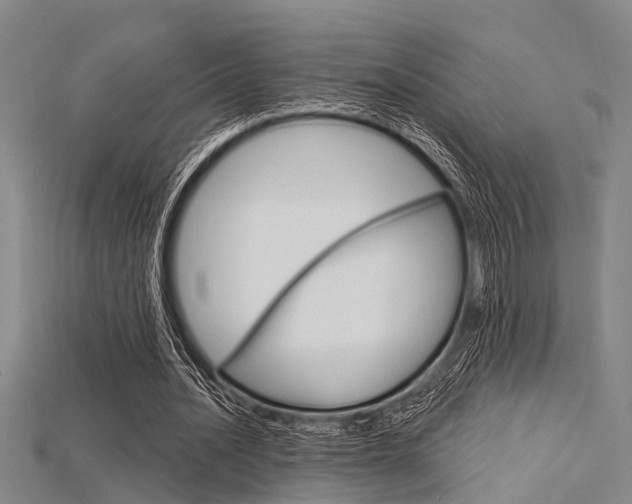 X0000115830628200911131128