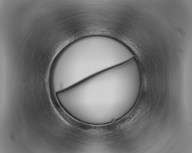 X0000115830630200911131128