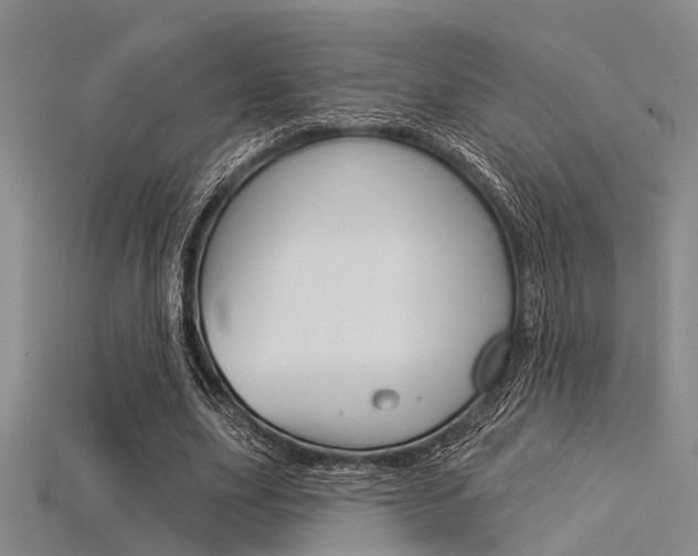 X0000115830631200911131128