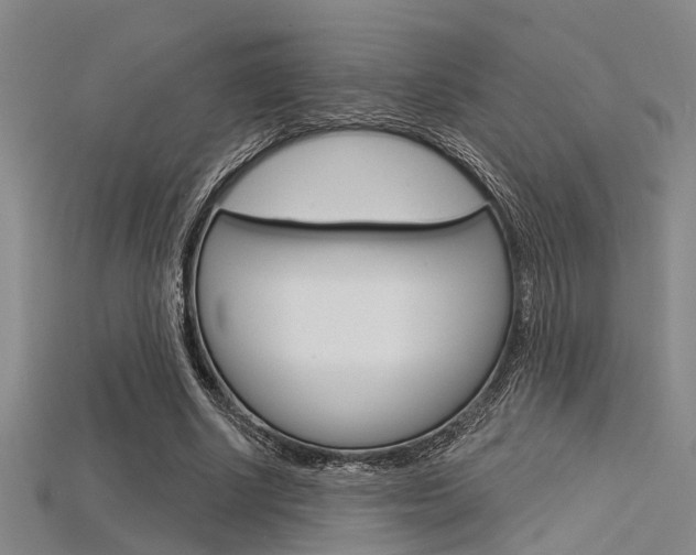 X0000115830634200911131128