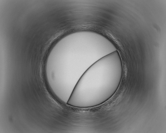 X0000115830637200911131128