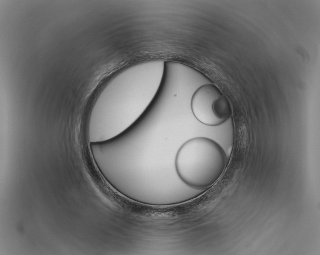 X0000115830638200911131128