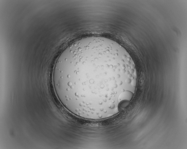 X0000115830639200911131128