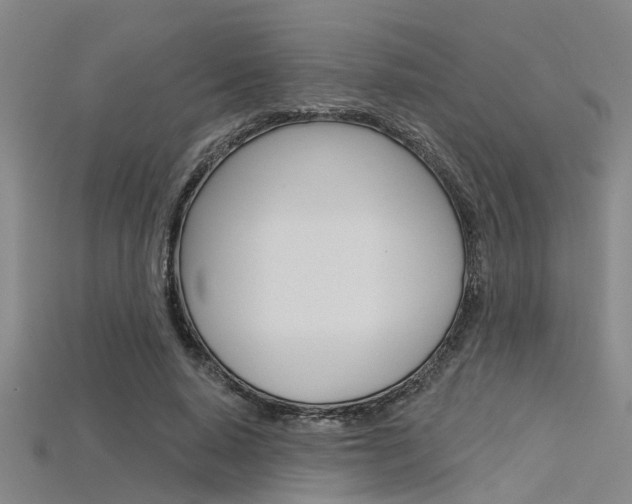X0000115830640200911131128