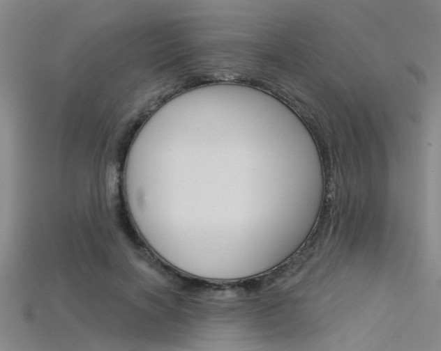 X0000115830646200911131128