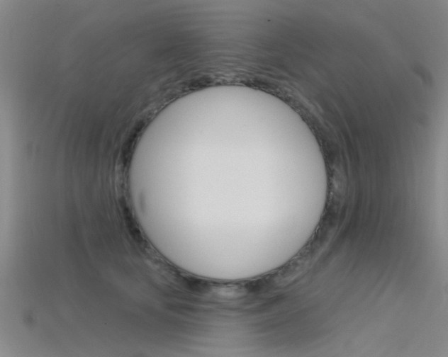 X0000115830659200911131128