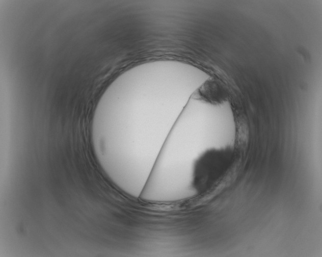 X0000115830661200911131128