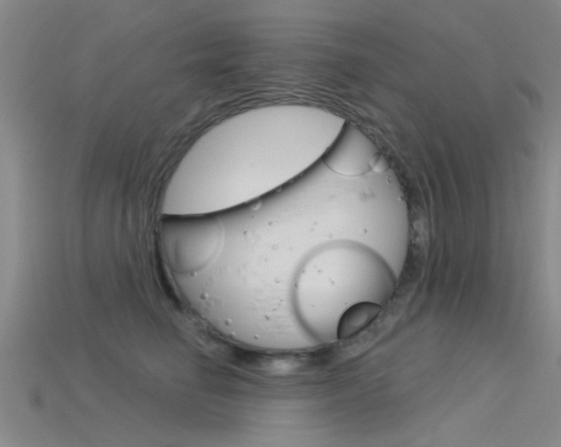 X0000115830662200911131128