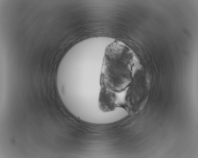 X0000115830665200911131128