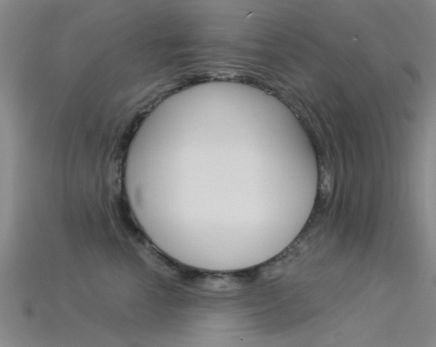 X0000115830666200911131128