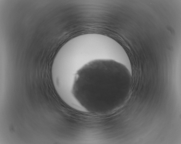 X0000115830667200911131128