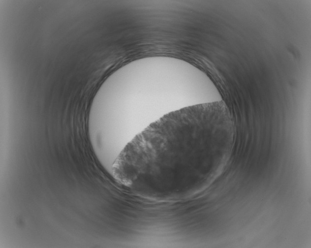 X0000115830669200911131128