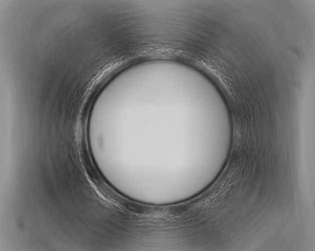 X0000115830674200911131128