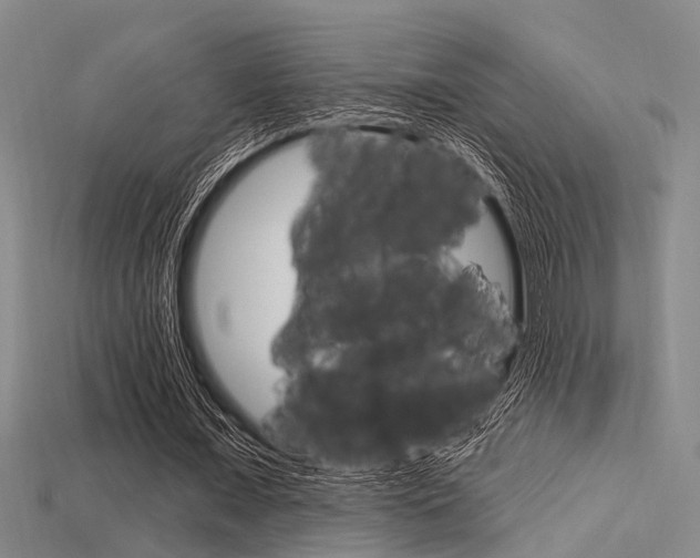 X0000115830675200911131128