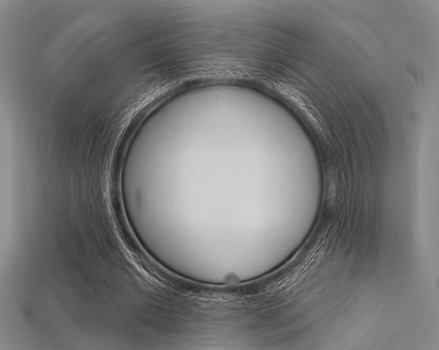 X0000115830677200911131128