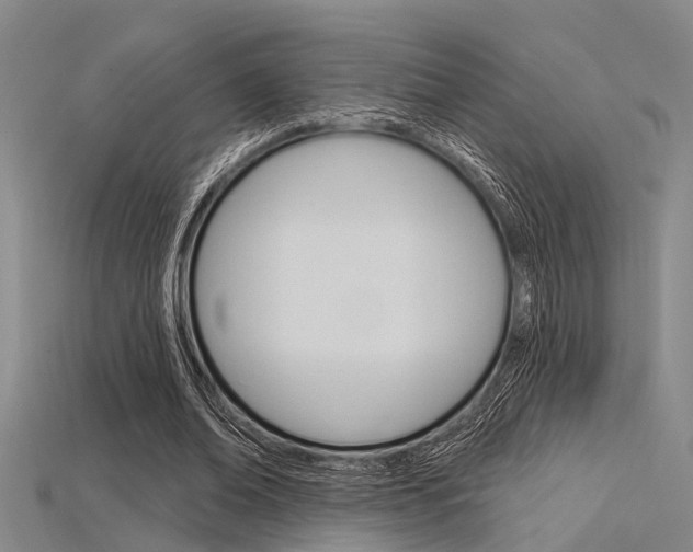 X0000115830678200911131128