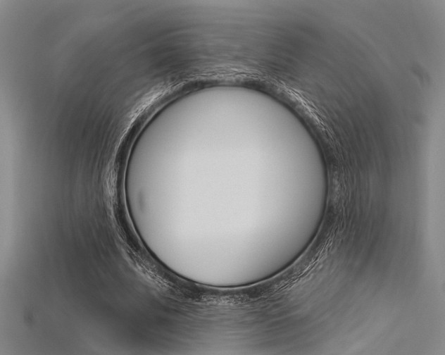 X0000115830679200911131128