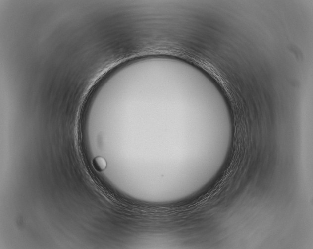 X0000115830680200911131127