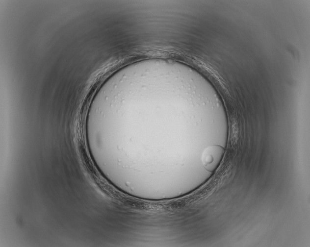 X0000115830682200911131127