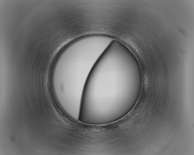 X0000115830684200911131127