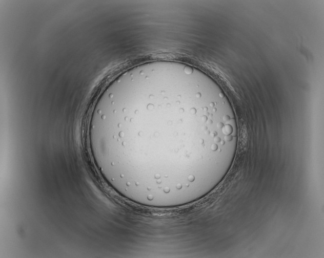 X0000115830686200911131127