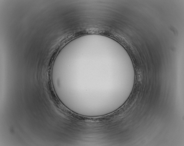 X0000115830690200911131127
