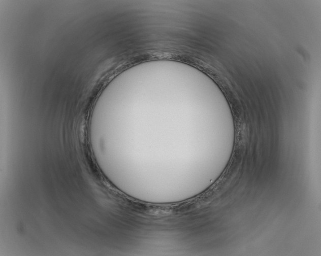 X0000115830694200911131127