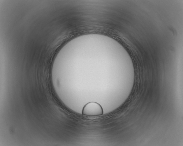 X0000115830696200911131127