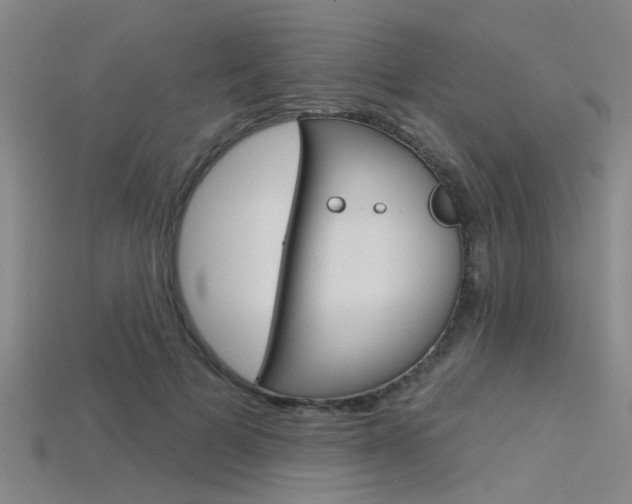 X0000115830697200911131127