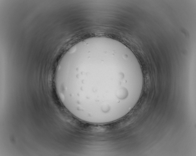 X0000115830698200911131127
