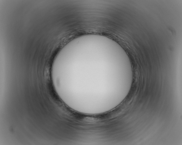 X0000115830699200911131127