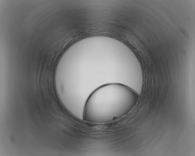 X0000115830700200911131127