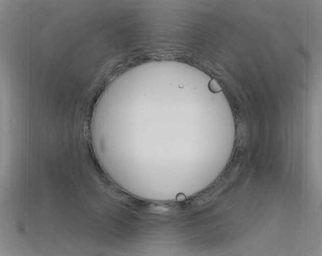 X0000115830706200911131127