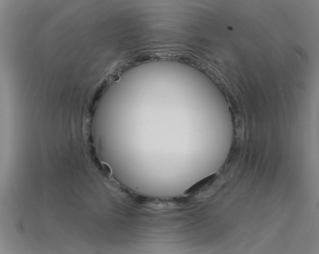 X0000115830712200911131127