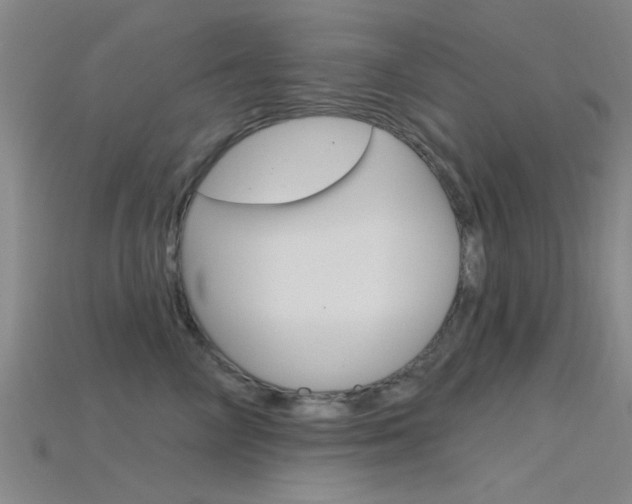 X0000115830714200911131127