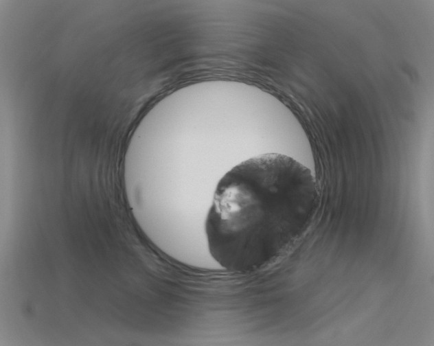 X0000115830715200911131127