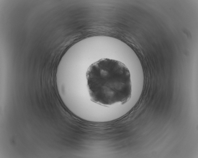 X0000115830719200911131127
