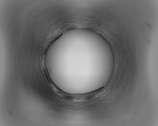 X0000115830720200911131127