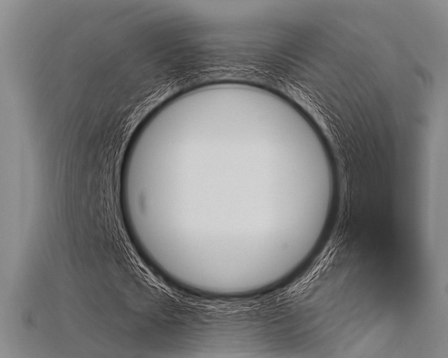 X0000115830721200911131126