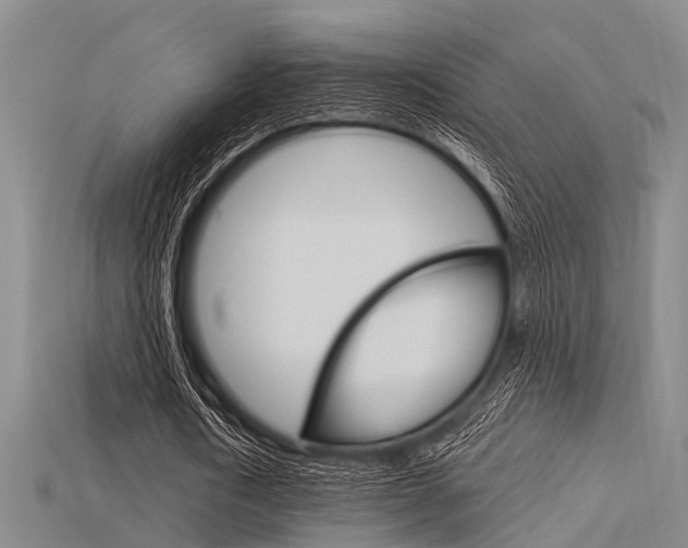 X0000115830722200911131126