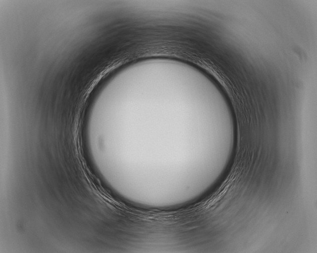 X0000115830723200911131126