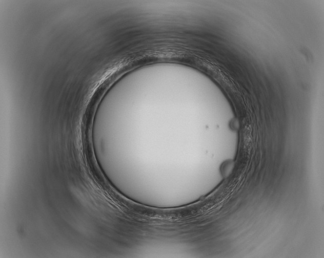 X0000115830727200911131126
