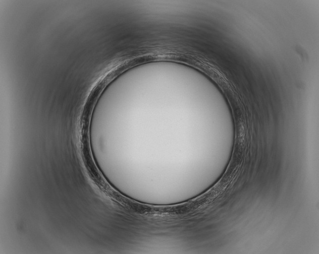 X0000115830730200911131126