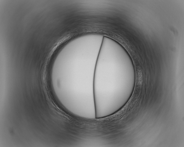 X0000115830731200911131126