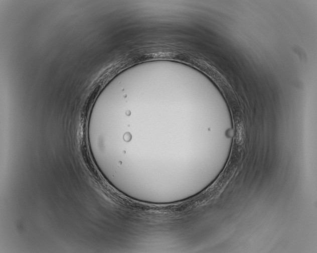 X0000115830733200911131126