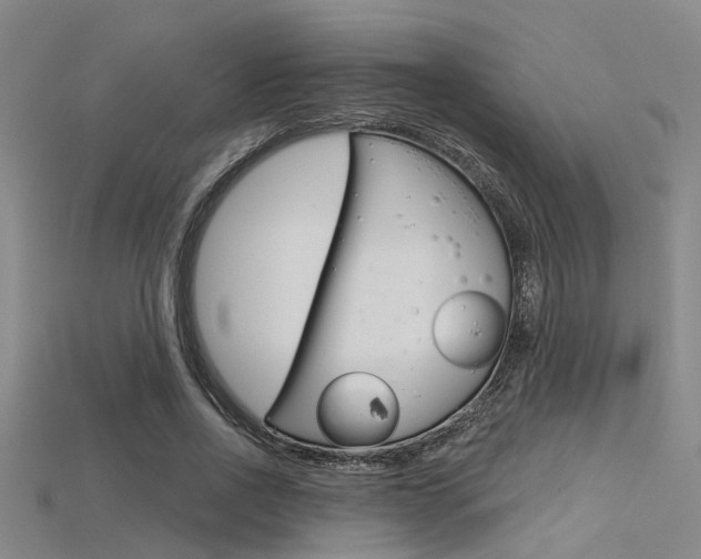 X0000115830734200911131126