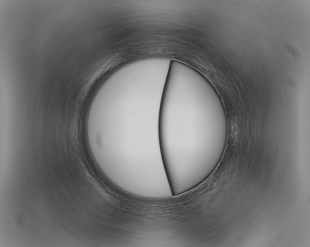 X0000115830735200911131126